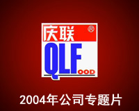 2004年公司专题片