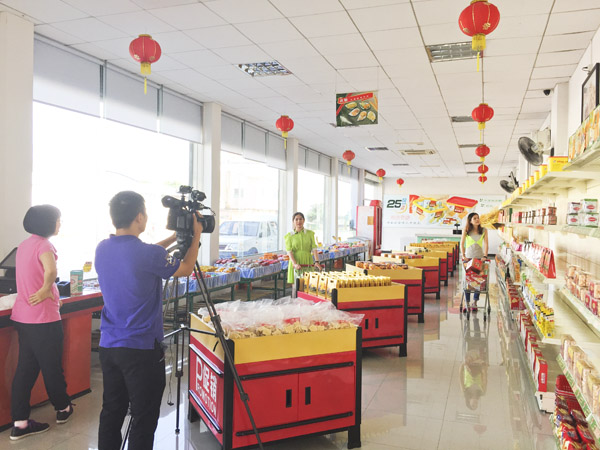 周末好介绍 大沥龙母特产手信——龙母福饼